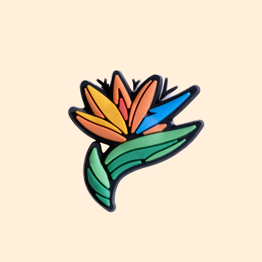 Bird of Paradise