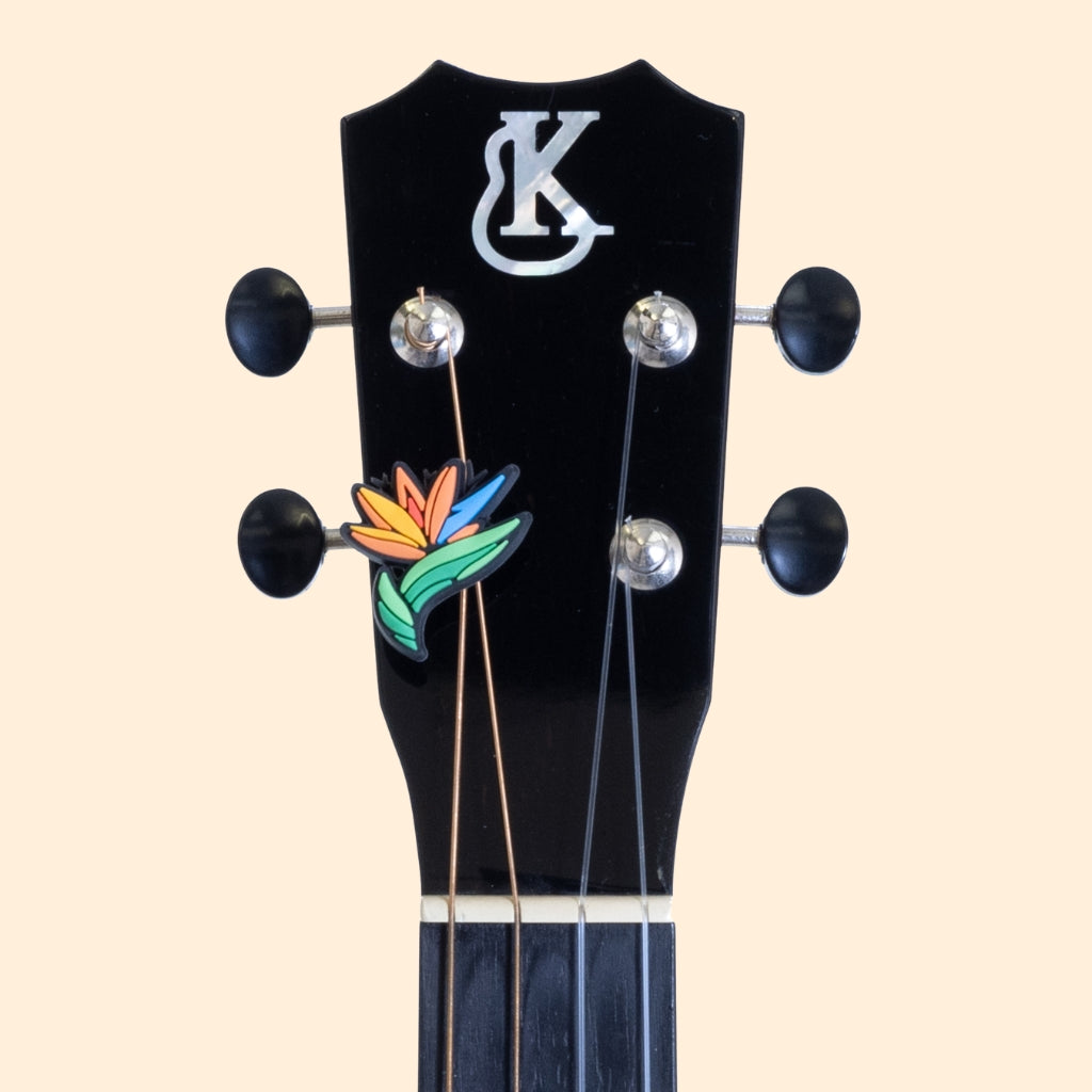 Bird of Paradise