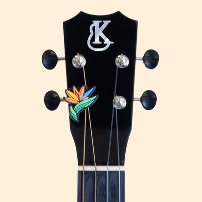 Bird of Paradise