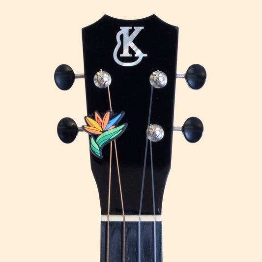Bird of Paradise