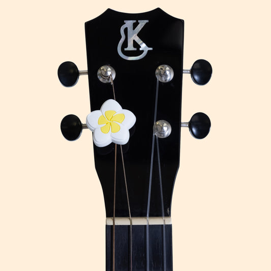 White and Yellow Plumeria